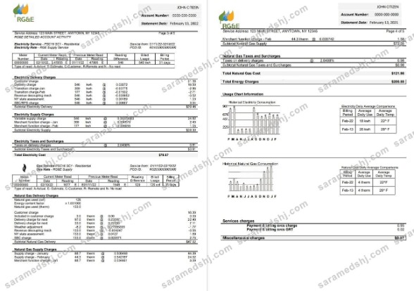 USA RG&E utility bill template in Word and PDF format (2 pages) 3 4